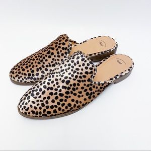 EUC Gap Velvet Leopard Cheetah Mules Slides Size 9